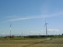 Rinnovabili, le Associazioni: 'il nuovo decreto riduce gli incentivi' | Energie Rinnovabili in Italia: Presente e Futuro nello Sviluppo Sostenibile | Scoop.it