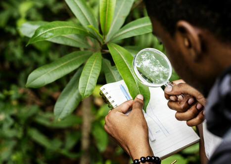 Proches, plateforme de la Fondation pour la recherche sur la biodiversité | Biodiversité | Scoop.it