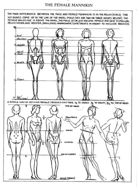 Detailed reference sheet of woman's body from different angles on