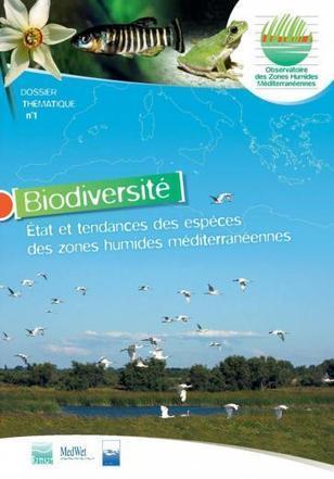 Biodiversité : état et tendances des espèces des zones humides méditerranéennes | Milieux humides | ECOLOGIE - ENVIRONNEMENT | Scoop.it