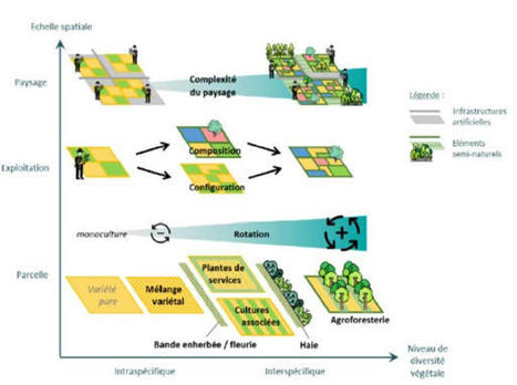 [Rapport] Quel accompagnement public pour favoriser la biodiversité dans les paysages agricoles ? | Elevage et environnement | Scoop.it