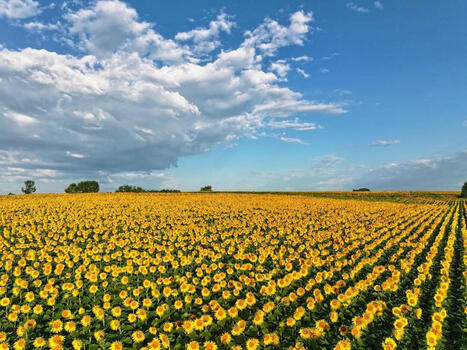 Ce d&eacute;partement d'Occitanie est toujours un champion sur Instagram et TikTok | Communication publique et num&eacute;rique | Scoop.it