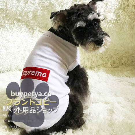 シュプリーム グッチ シャネル 犬服 Tシャツ タンクトップ Scoop It