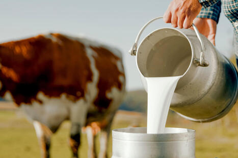 N&auml;m&auml; terveysv&auml;itteet ovat humpuukia &ndash; Hannu Sokala ruotii salaliittoteorioita ja valheita | 1Uutiset - Lukemisen t&auml;hden | Scoop.it