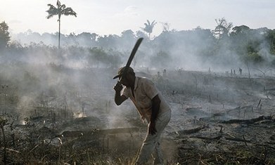 Learning about the Amazon rainforest: a resource under threat | Rainforest CLASSROOM | Scoop.it