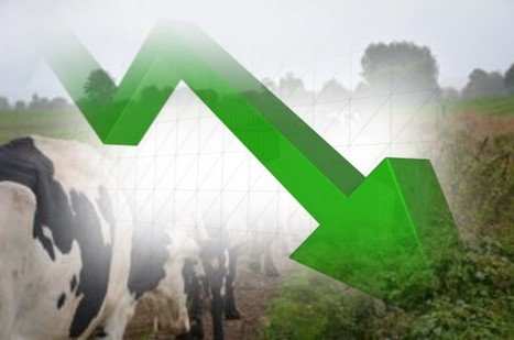 Le cheptel laitier a perdu 2% de têtes l’an passé, alors que le troupeau allaitant se stabilisait | Lait de Normandie... et d'ailleurs | Scoop.it