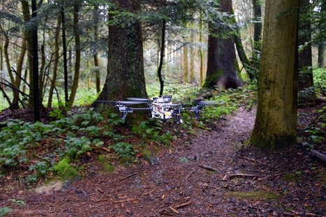 This drone can automatically follow forest trails to track down lost hikers | Amazing Science | Scoop.it