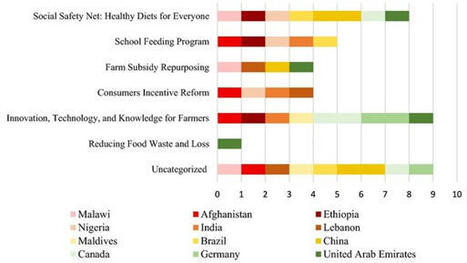 Lutte contre l’insécurité alimentaire : une progression encore lente dans la plupart des pays | Environnement : Politiques Publiques et Stratégie | Scoop.it
