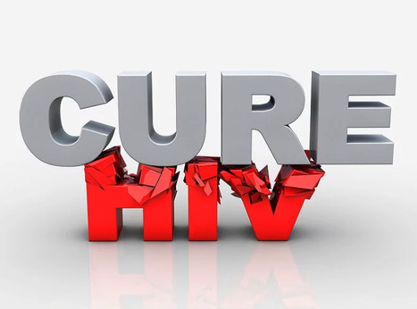 Next Steps in the Search for HIV Cure - Opportunities and Obstacles  | Virus World | Scoop.it