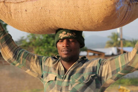 La Côte d’Ivoire augmente de 50% le prix du cacao à la production | Questions de développement ... | Scoop.it