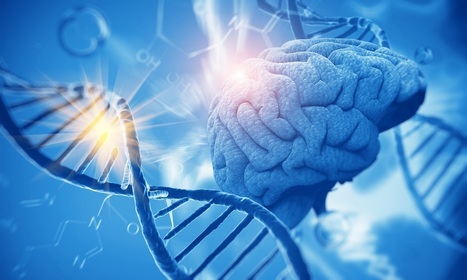Deux mutations rares chez l’Homme responsables de la toxicité du traitement contre la gale | EntomoNews | Scoop.it