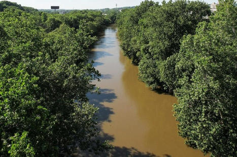 730 tonnes de pesticides se retrouvent chaque année dans nos rivières | Toxique, soyons vigilant ! | Scoop.it