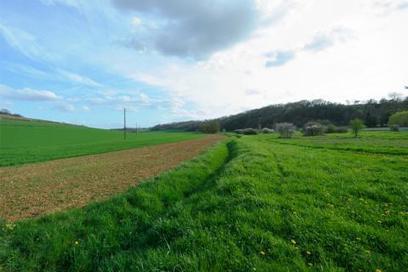 Les laur&eacute;ats de l&rsquo;appel &agrave; projets national Ecophyto 2017 | For&ecirc;t, Bois, Milieux naturels : politique, l&eacute;gislation et r&eacute;glementation | Scoop.it