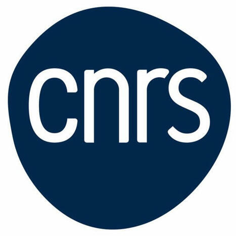 Doctorante / doctorant en assimilation de données satellitaires pour le système terre h/f 31057 TOULOUSE (France) | Télédétection veille IST INRAE & AgroParisTech | Scoop.it