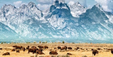 Google Earth Launches Virtual Tours of America's National Parks | Stage 4 Landforms & Landscapes | Scoop.it