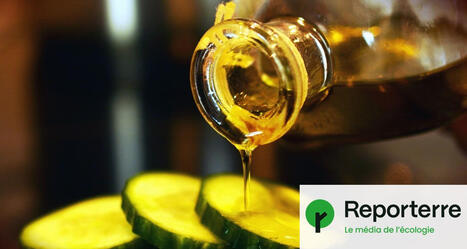 ALIMENTATION : &laquo;&nbsp;L&rsquo;hexane est un produit dangereux&nbsp;&raquo;, conclut un rapport parlementaire | CIHEAM Press Review | Scoop.it