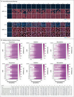 Drug Sensitivity of Currently Circulating Mpox Viruses | NEJM | Veille MPox | Scoop.it