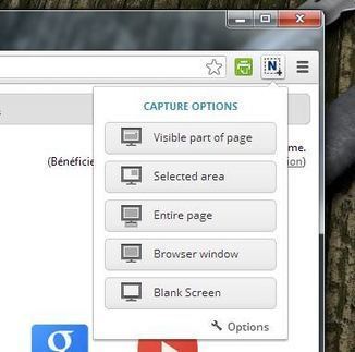 Captures d'écran, screenshots et éditeurs d'images avec Nimbus de Chrome | Strictly pedagogical | Scoop.it