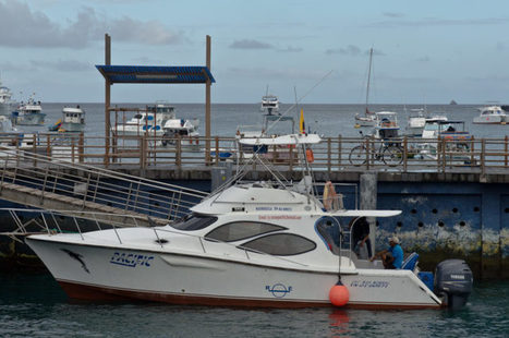 Public Ferry Boat Schedules in the Galapagos Islands | Galakiwi | Galapagos | Scoop.it