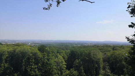 Val-d’Oise - Yvelines : ils militent pour faire du massif de l’Hautil une forêt protégée | Environnement, paysage et biodiversité | Scoop.it