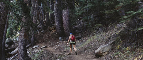 Elle est victime d&rsquo;un choc anaphylactique sur un sentier escarp&eacute;&nbsp;: une randonneuse piqu&eacute;e par des fourmis de feu | Essentiels et SuperFlus | Scoop.it