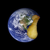 Tech Transformation: Knowledge -v- Wisdom | Latest Social Media News | Scoop.it