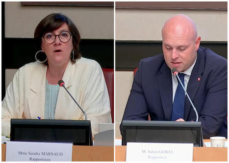 Revitalisation : les d&eacute;put&eacute;s appellent &agrave; prolonger Action c&oelig;ur de ville | Fil de veille CCI Loir-et-Cher | Scoop.it