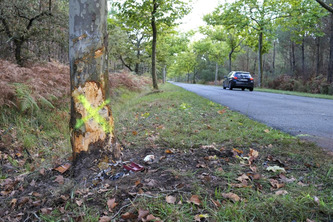 Landes : week-end noir sur les routes, avec trois accidents mortels | Landes - Conseils municipaux & communautaires | Scoop.it