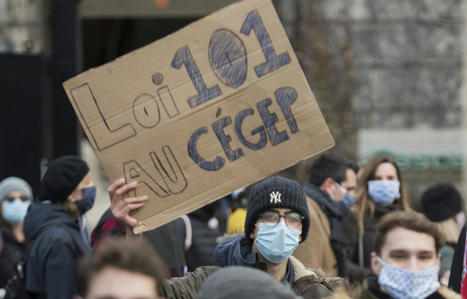 La loi 101 au c&eacute;gep? Une fausse bonne id&eacute;e! | Veille m&eacute;dia | Scoop.it