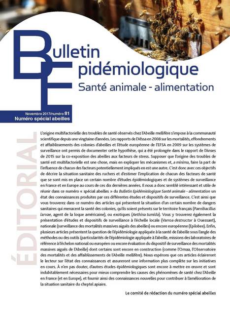 Bulletin &eacute;pid&eacute;miologique - N&deg;81 sp&eacute;cial abeilles | Biodiversit&eacute; | Scoop.it