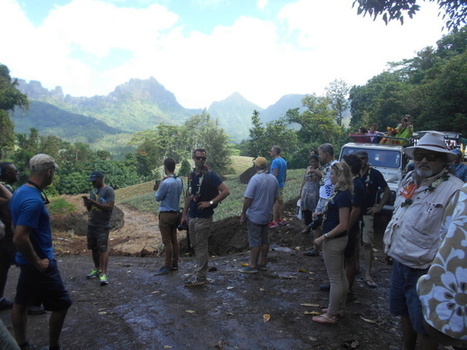 Visites de terrain à Moorea, dans le cadre des projets Resccue et Integre | Biodiversité | Scoop.it