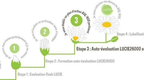 Entreprises. Une démarche plus simple pour entrer en RSE | ITERG Environnement et Eco-industries | Scoop.it