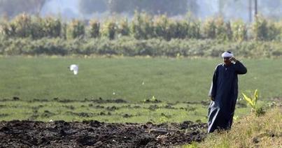 Egypt's SFD to sign Financing Deal with UN's IFAD next FebruaryEgypt - Zawya | MED-Amin network | Scoop.it