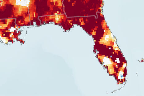 Drought Parches Florida -&nbsp;NASA Earth Observatory | Operation Deimos | Scoop.it