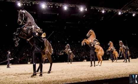 Le Cadre Noir de Saumur : spectacle équestre au Zénith de Rouen | Salon du Cheval | Scoop.it