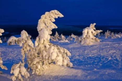 T&auml;m&auml; kuvakooste Suomen luonnosta on upea! | 1Uutiset - Lukemisen t&auml;hden | Scoop.it