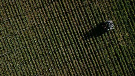 Environnement: les vins europ&eacute;ens contamin&eacute;s par le TFA, le plus r&eacute;pandu des pesticides PFAS | Biodiversit&eacute;, &Eacute;cologie et Environnement | Scoop.it