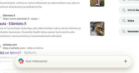 Bazaar-Oppitori: Copilot on opettaja | 1Uutiset - Lukemisen t&auml;hden | Scoop.it
