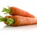 Agenda : Un Symposium international pour la carotte et autres Apiacées | HORTICULTURE | Scoop.it