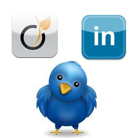 Viadeo Linkedin Twitter… Un trio qui fait bon ménage | Froggy'Net & Le Web 2.0 | Outils, logiciels et tutos : de la curiosité à l'indispensable | Scoop.it