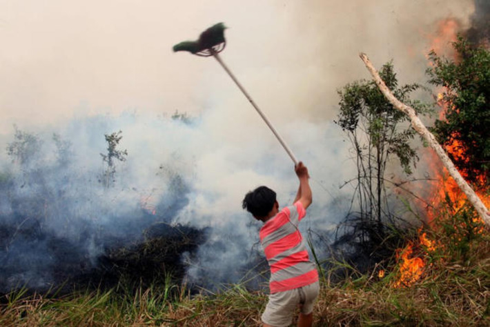 What disasters will El Ni&ntilde;o bring over the next year? | The Health Report | Scoop.it