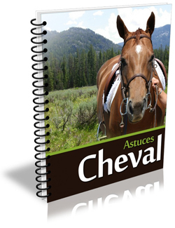 Accueil | Cheval et Nature | Scoop.it