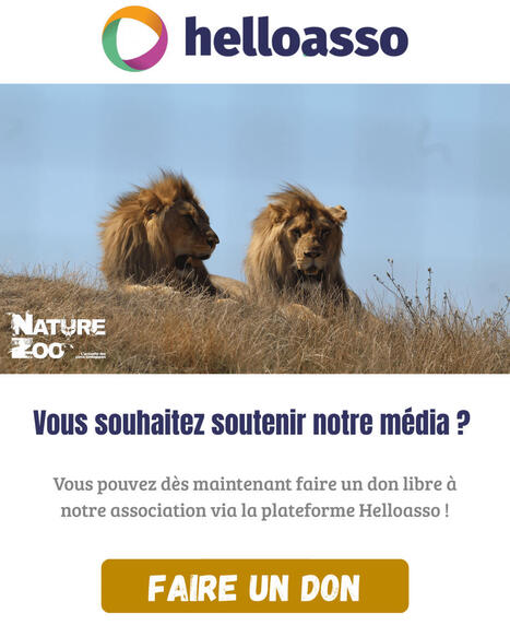 Lexique Zoologique - Nature et Zoo : L'actualit&eacute; des parcs zoologiques | DictiHOnnaires! | Scoop.it