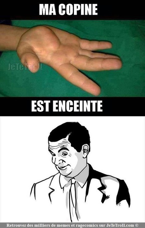 Si tu vois ce que je veux dire ! | Trollface , meme et humour 2.0 | Scoop.it