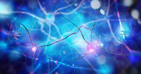 Un pas de g&eacute;ant pour la robotique : ces synapses artificielles ont la puissance du cerveau humain | T&eacute;l&eacute;phone Mobile actus, web 2.0, PC Mac, et geek news | Scoop.it