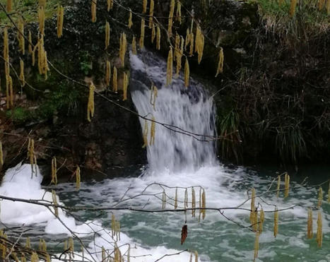 Jura. Pollution sur la rivi&egrave;re Besan&ccedil;on | Voix du Jura / 11.02.2021 | Pollution accidentelle des eaux par produits chimiques | Scoop.it