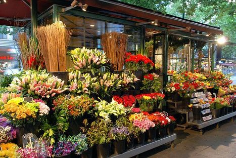 The Ultimate Guide to Finding the Perfect NYC Flower Shop | Q Florist | Scoop.it