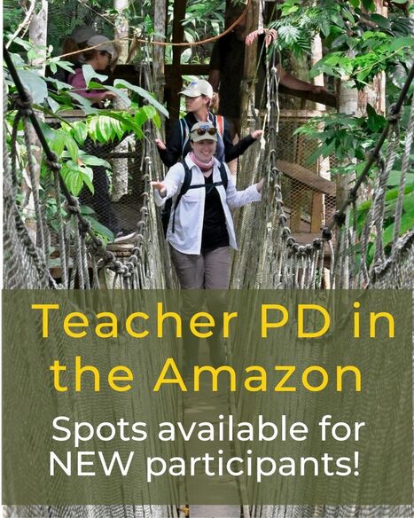 Professional Development in the Amazon | RAINFOREST EXPLORER | Scoop.it