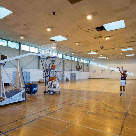 R&eacute;novation du gymnase St&eacute;phane Faure du CREPS de Bordeaux en privil&eacute;giant le r&eacute;emploi | 5 - Equipements et lieux de pratique | Scoop.it