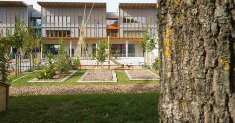 L’architecture explore ses pistes vertes | EntomoScience | Scoop.it